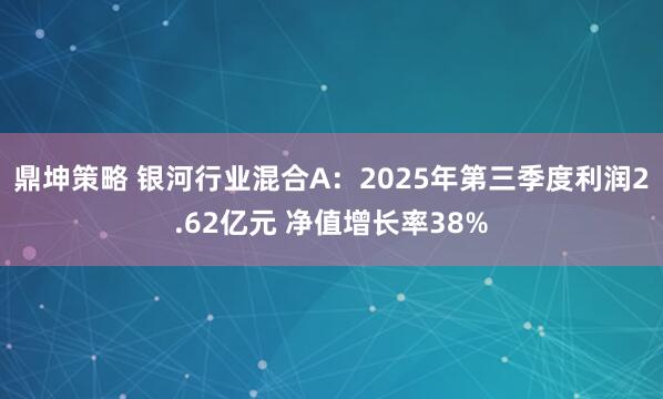 鼎坤策略 银河行业混合A：2025年第三季度利润2.62亿元 净值增长率38%
