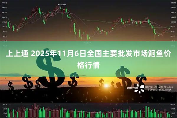 上上通 2025年11月6日全国主要批发市场鮰鱼价格行情