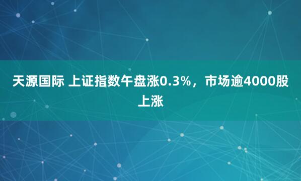 天源国际 上证指数午盘涨0.3%，市场逾4000股上涨