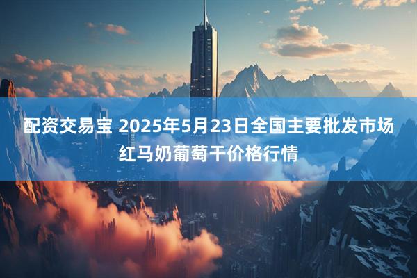 配资交易宝 2025年5月23日全国主要批发市场红马奶葡萄干价格行情