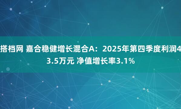 搭档网 嘉合稳健增长混合A:2025年第四季度利润43.5万元 净值增长率3.1%