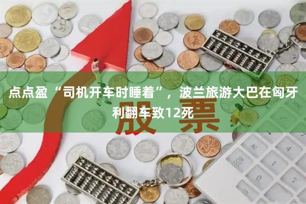 点点盈 “司机开车时睡着”,波兰旅游大巴在匈牙利翻车致12死