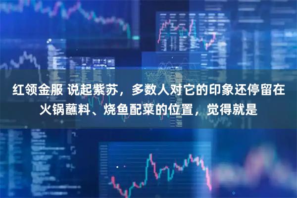 红领金服 说起紫苏，多数人对它的印象还停留在火锅蘸料、烧鱼配菜的位置，觉得就是
